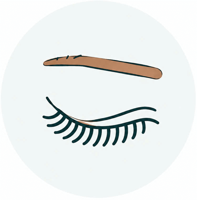 Lashes & Brows